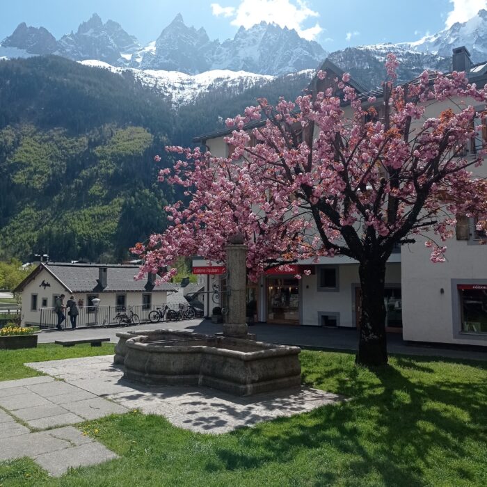 Découvrez Chamonix avec un local – Image 9